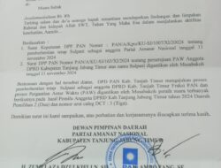 Buntut Kalah di Pilkada Tanjab Timur, Jambi, Adik Zumi Zola PAW Sulpani