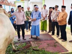 Wabup Muslimin Serahkan Sapi Kurban Presiden untuk Masyarakat Mendahara