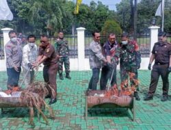 Sabu & Ekstasi Dihabisi! Kejari Tanjab Timur Kirim Pesan Keras untuk Bandar Narkoba