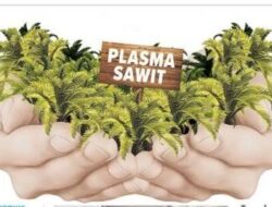 10 Perusahaan Masuk Radar Disbunak Tanjabtim, Salah Satunya EWF dan MPK